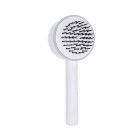 Hair Hairdressing Tools Portable Long Handle Air Cushion Massager Brush (Color: Whtie, Type: Hairdressing Comb)